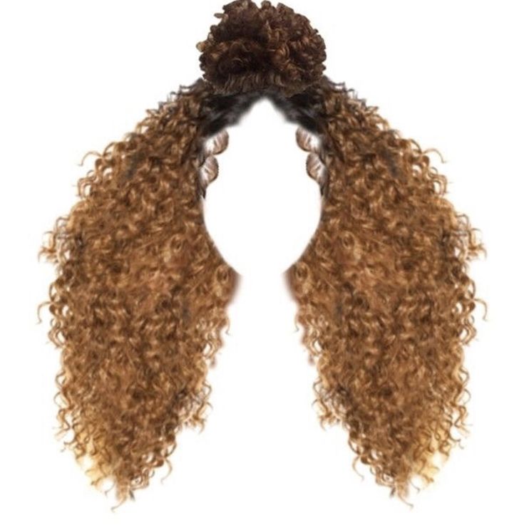 Ombre Brown Curly Half-Up Half-Down Wig 24 Inches - High Bun Kinky Curly Wig